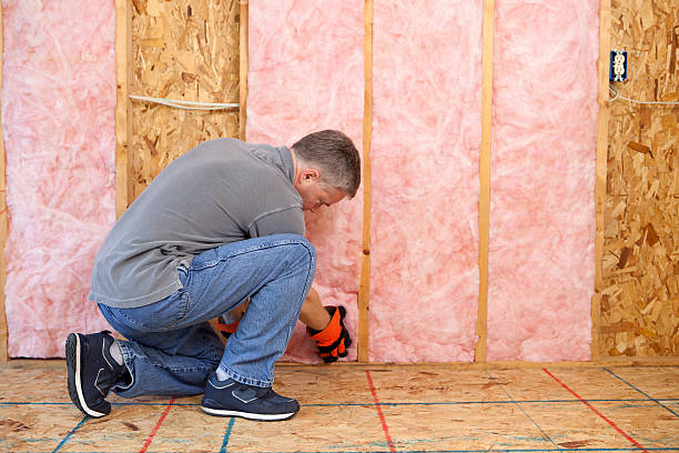 Best DIY Insulation Kits and Guidance in Powell, AL